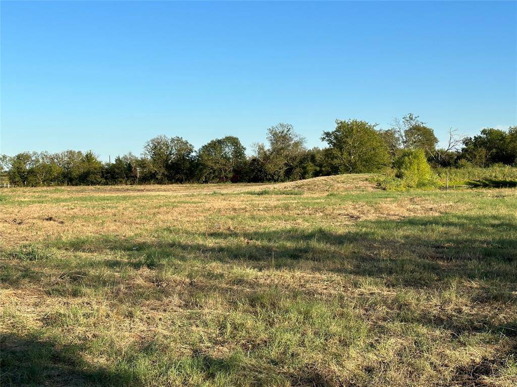 Powell, TX 75153,TBD Lot 3 NE County Road 0190