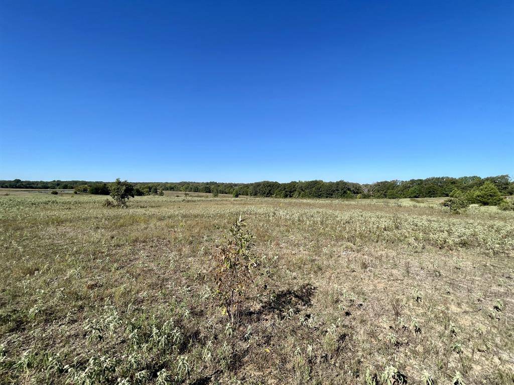 Canton, TX 75103,TBD VZ county road 1107