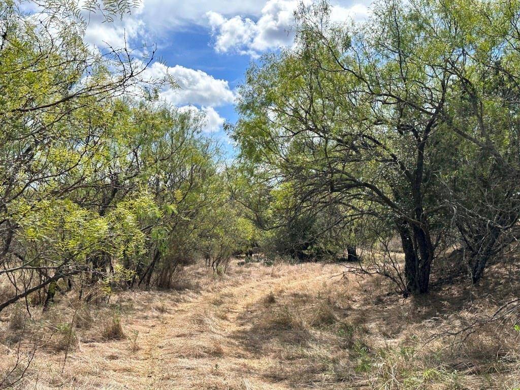 San Saba, TX 76877,543 County Road 432