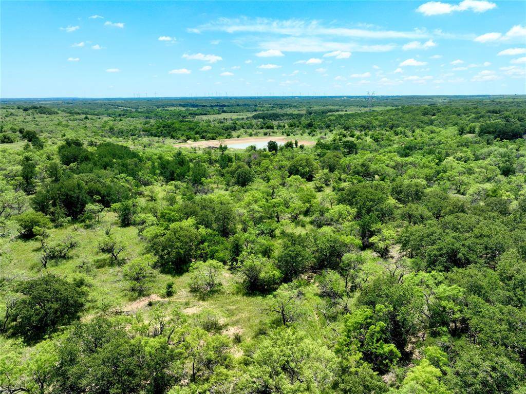 Jacksboro, TX 76458,99.45+/- Acres Burwick