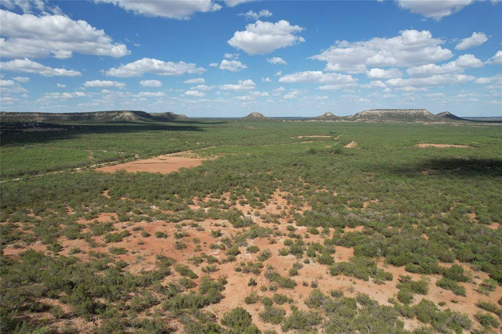 Bronte, TX 76933,183.88 Ac Nipple Peak Road