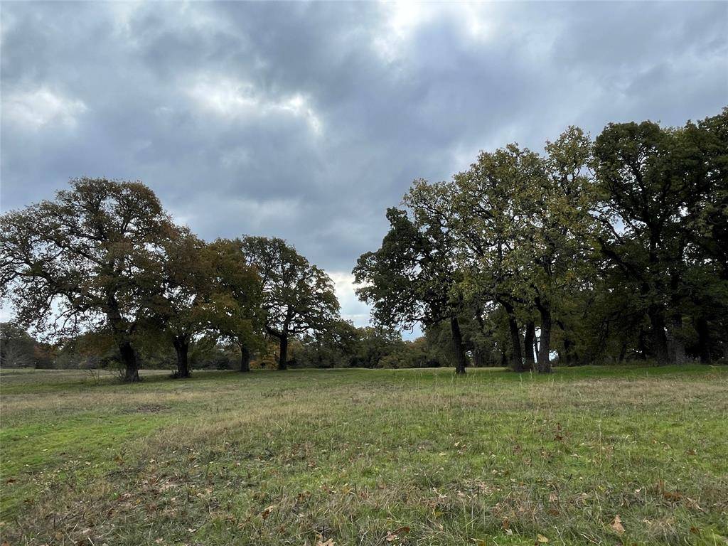 Alvord, TX 76225,1889 Parker Dairy Road