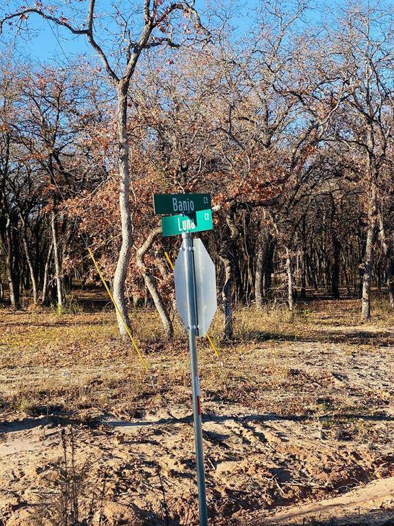 Alvord, TX 76225,TBD Banjo Ct