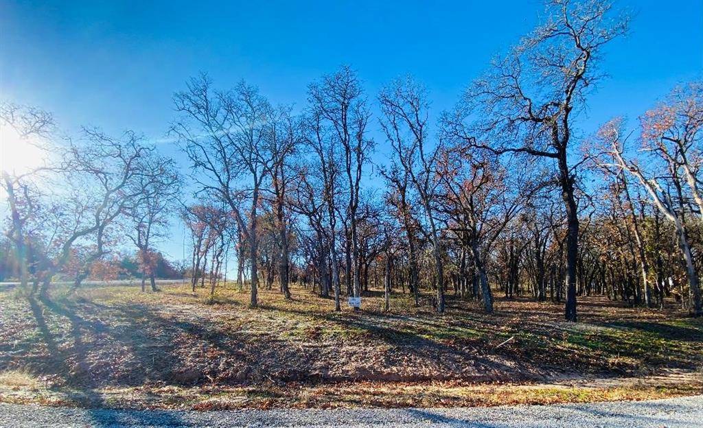 Alvord, TX 76225,TBD Banjo Ct