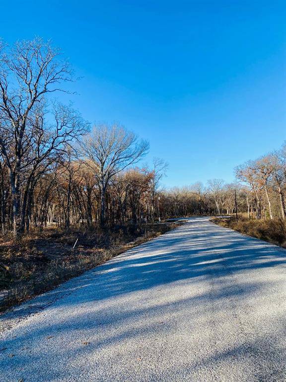 Alvord, TX 76225,TBD Banjo Ct