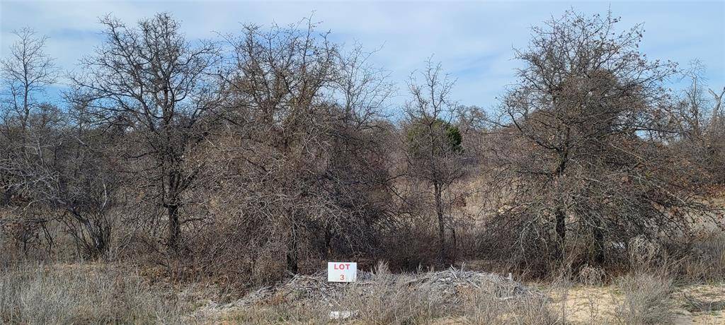 Clyde, TX 79510,Lot 3 Live Oak Trail