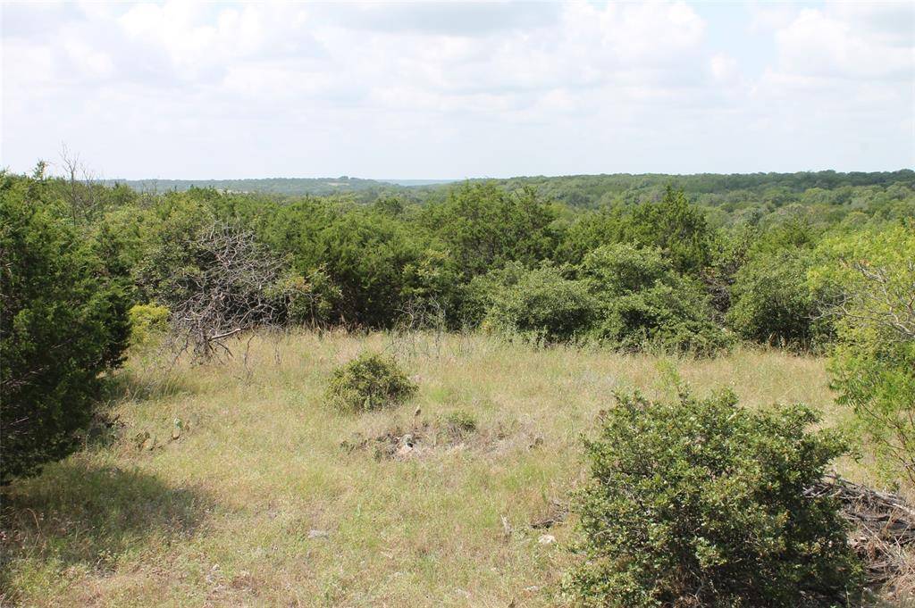 Glen Rose, TX 76690,9952 W Hwy 67  Tract 6-1