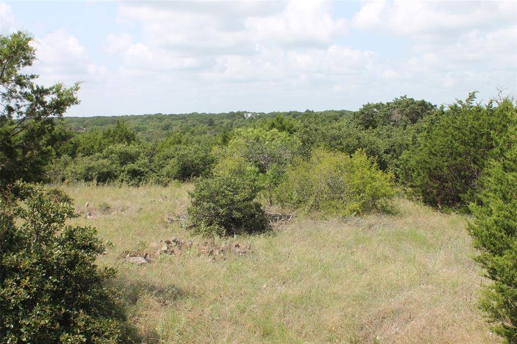 Glen Rose, TX 76690,9952 W Hwy 67  Tract 6-1