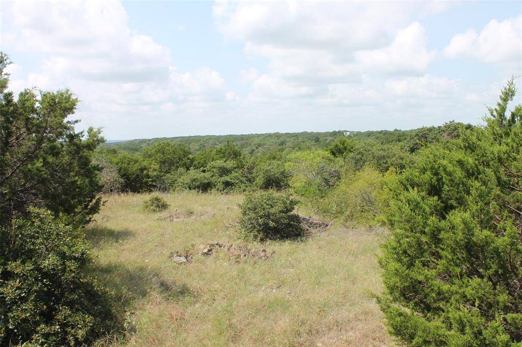 Glen Rose, TX 76690,9952 W Hwy 67  Tract 6-1