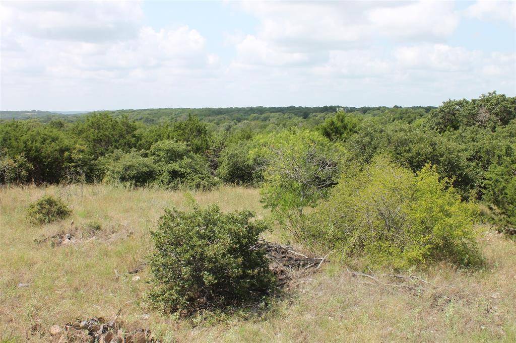 Glen Rose, TX 76690,9952 W Hwy 67  Tract 6-1