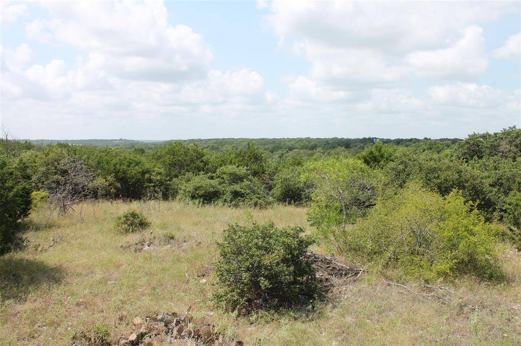 Glen Rose, TX 76690,9952 W Hwy 67  Tract 6-1