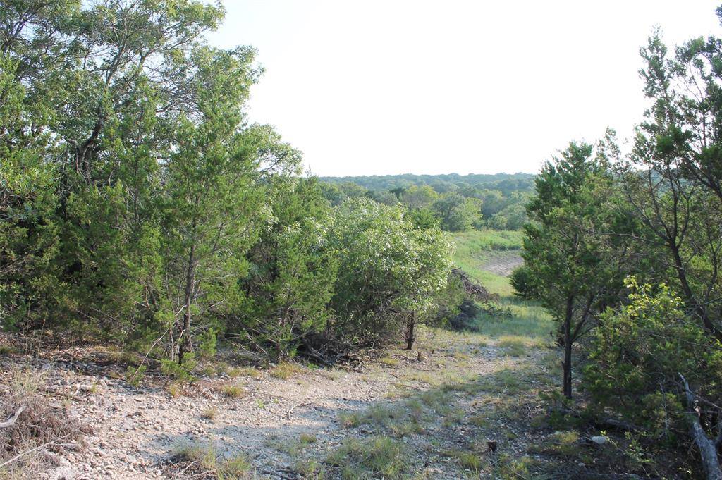 Glen Rose, TX 76690,9952 W Hwy 67 Tract 5