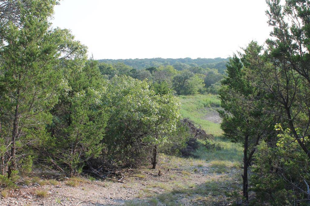 Glen Rose, TX 76690,9952 W Hwy 67 Tract 5