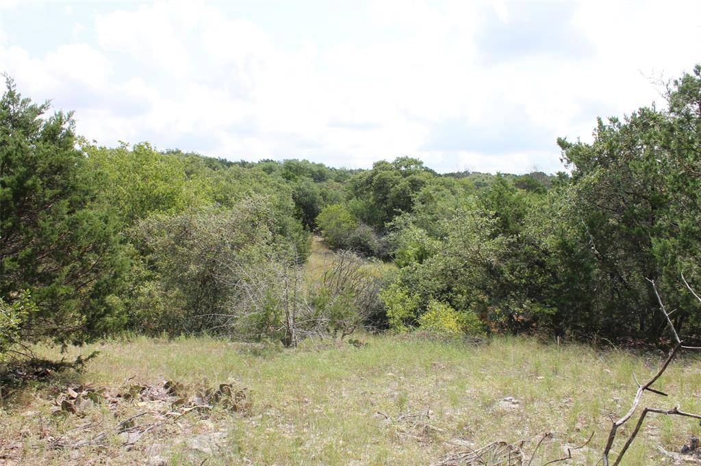 Glen Rose, TX 76690,9952 W Hwy 67 Tract 5