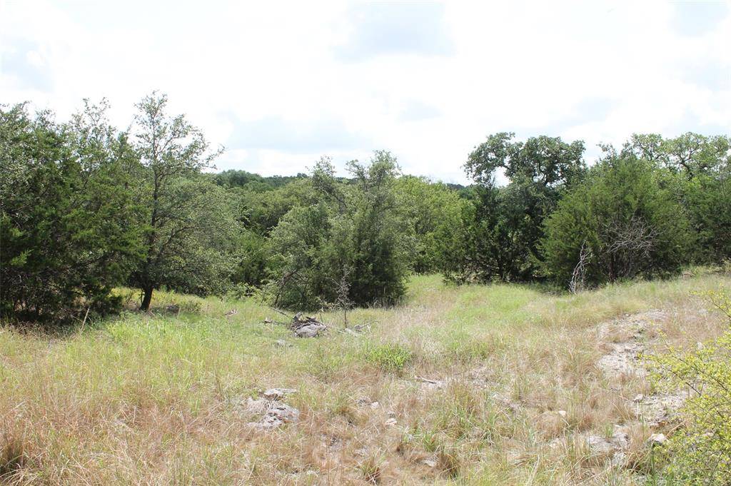 Glen Rose, TX 76690,9952 W Hwy 67 Tract 5