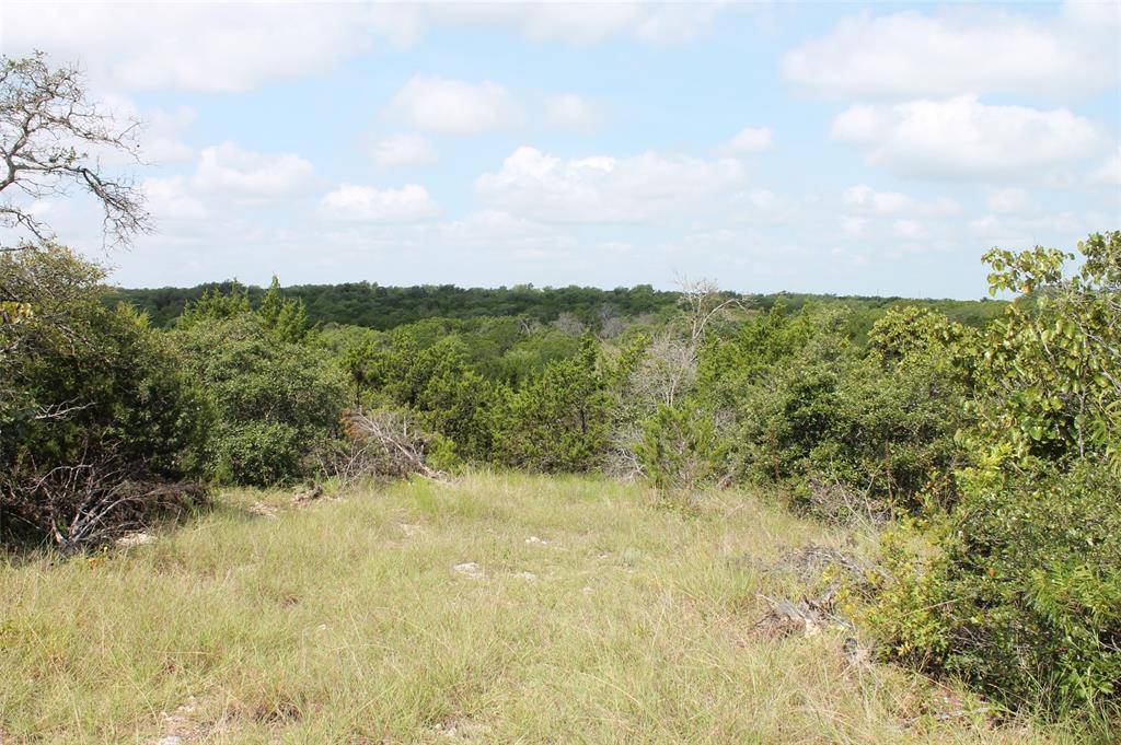 Glen Rose, TX 76690,9952 W Hwy 67 Tract 5