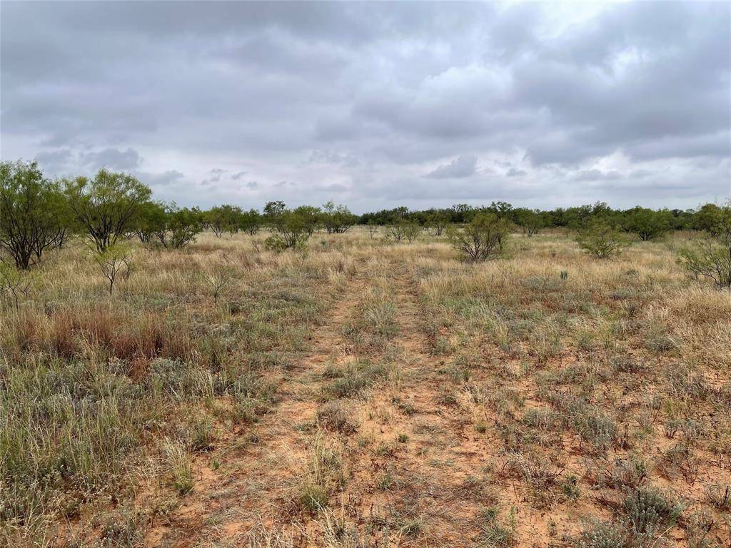 Hawley, TX 79525,TBD b County Road 347