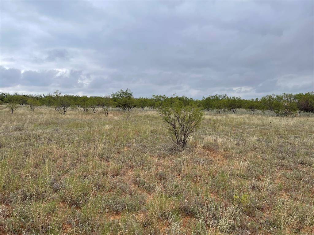 Hawley, TX 79525,TBD b County Road 347