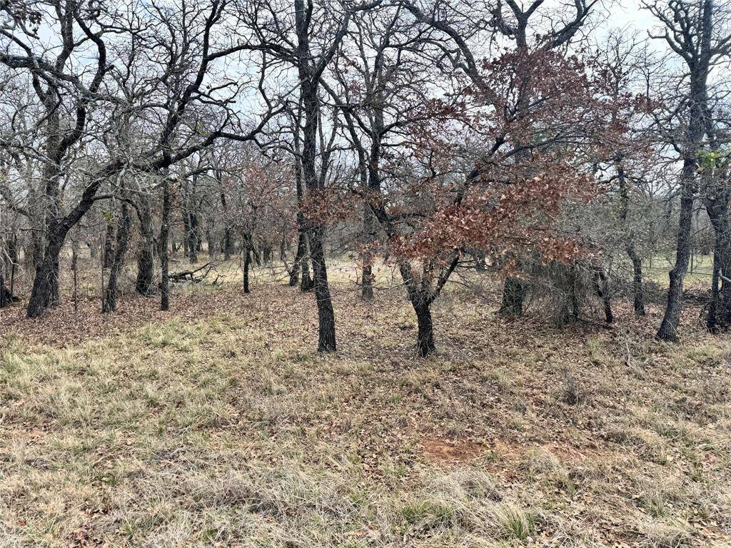 May, TX 76857,TBD Lot 8 Oak Bluff Circle