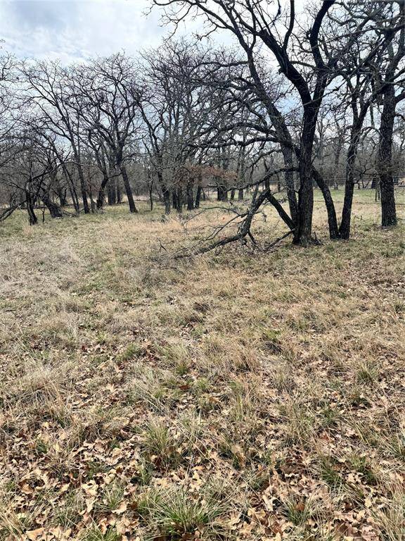 May, TX 76857,TBD Lot 8 Oak Bluff Circle