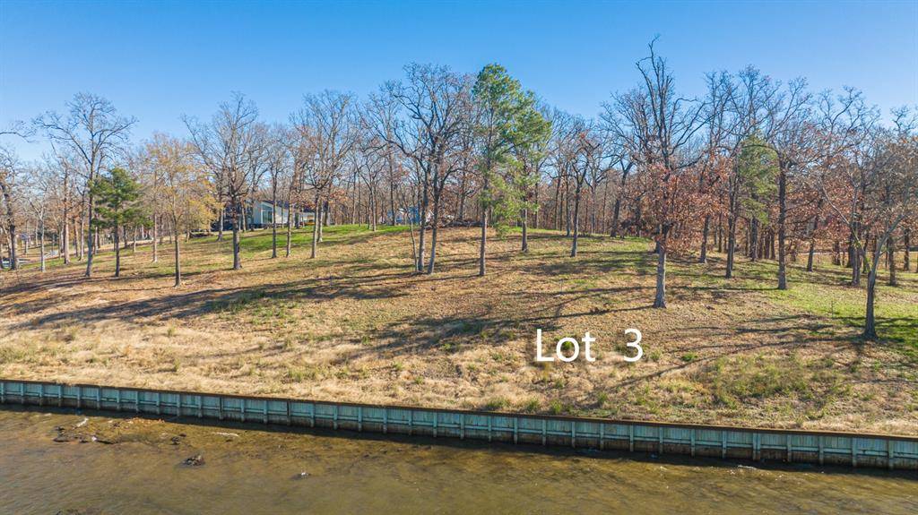 Pittsburg, TX 75686,Lot #3 PR 52603