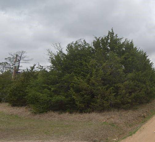 Gordonville, TX 76245,TBD LOT 303 Green Briar Drive