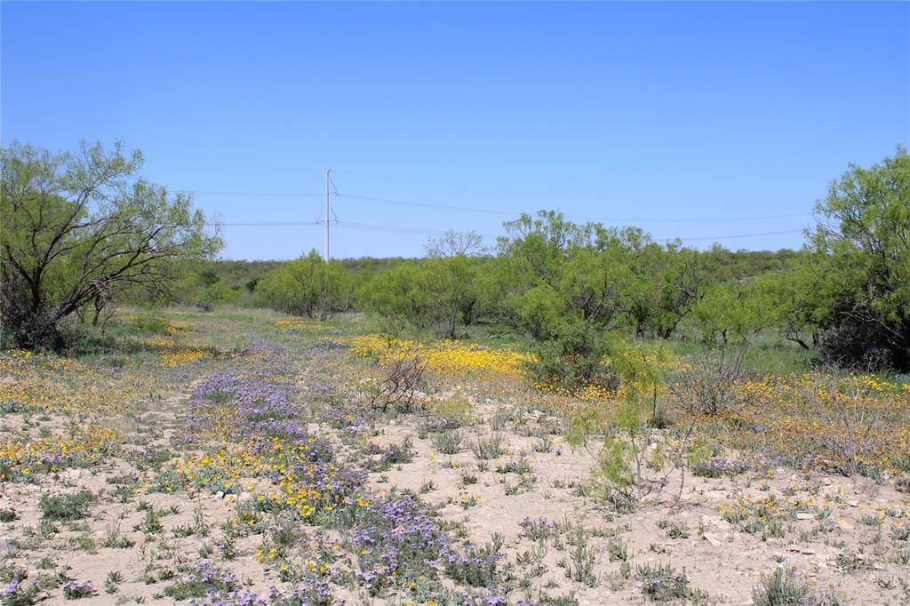 Paint Rock, TX 76866,0 Fm 1929