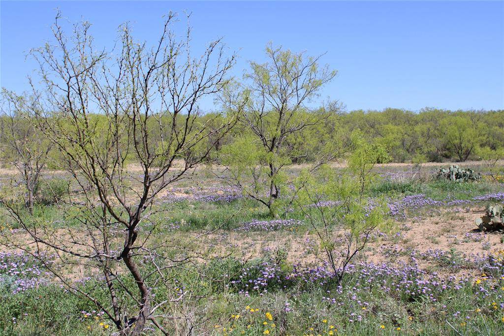 Paint Rock, TX 76866,0 Fm 1929