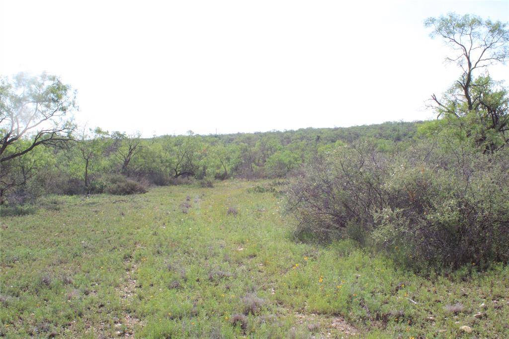 Paint Rock, TX 76866,0 Fm 1929