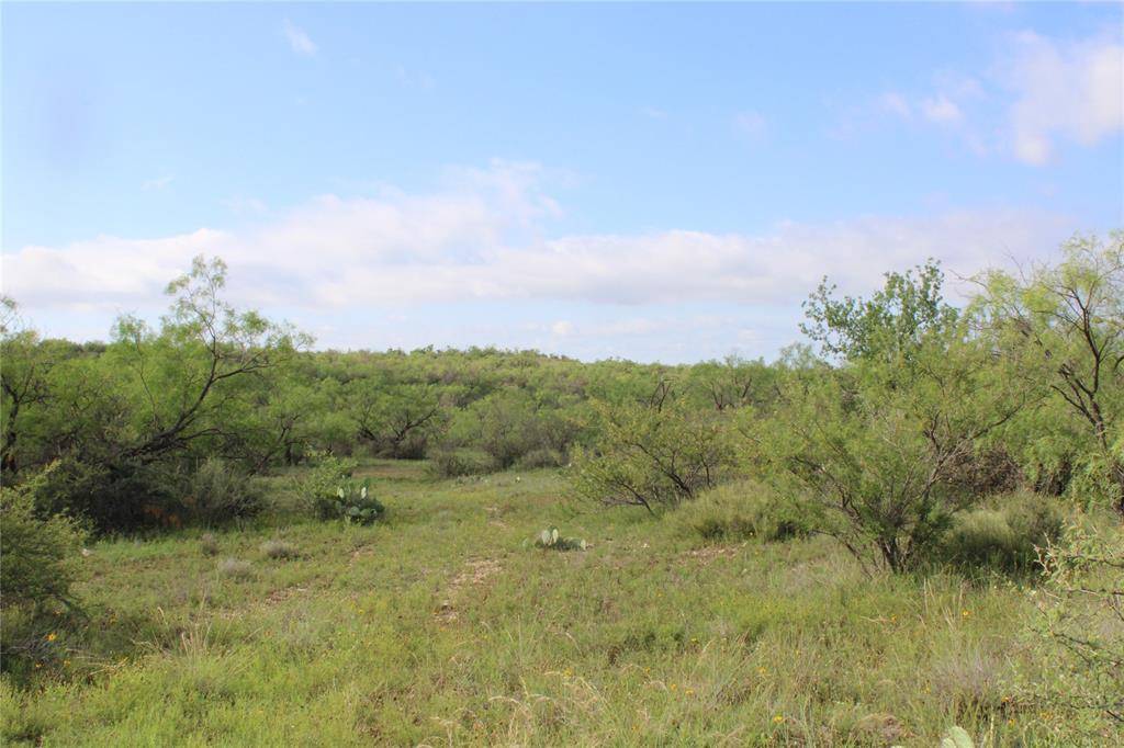 Paint Rock, TX 76866,0 Fm 1929