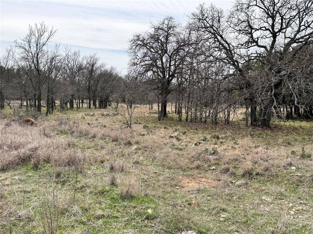 Brownwood, TX 76801,TBD Lot 92 Cheryl Street