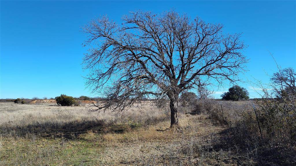 Baird, TX 79504,TBD CR 463