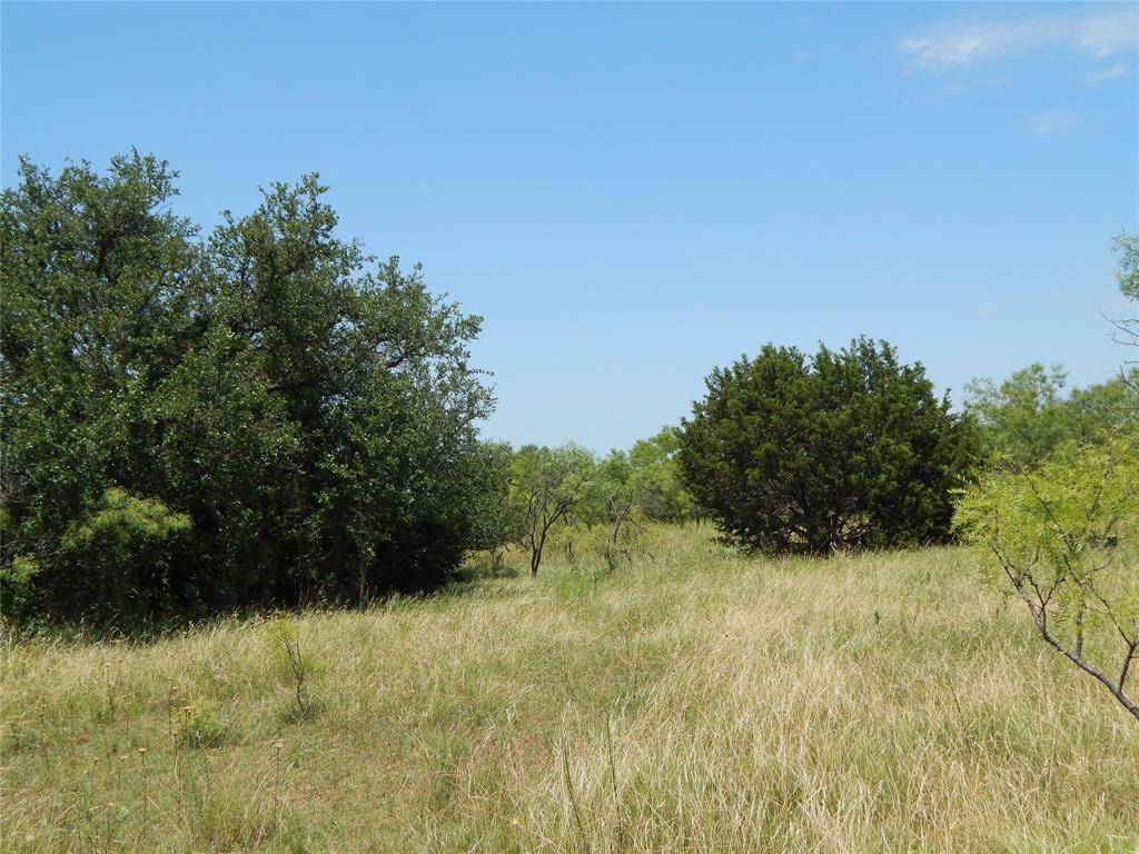 Bangs, TX 76823,12200 County Road 142