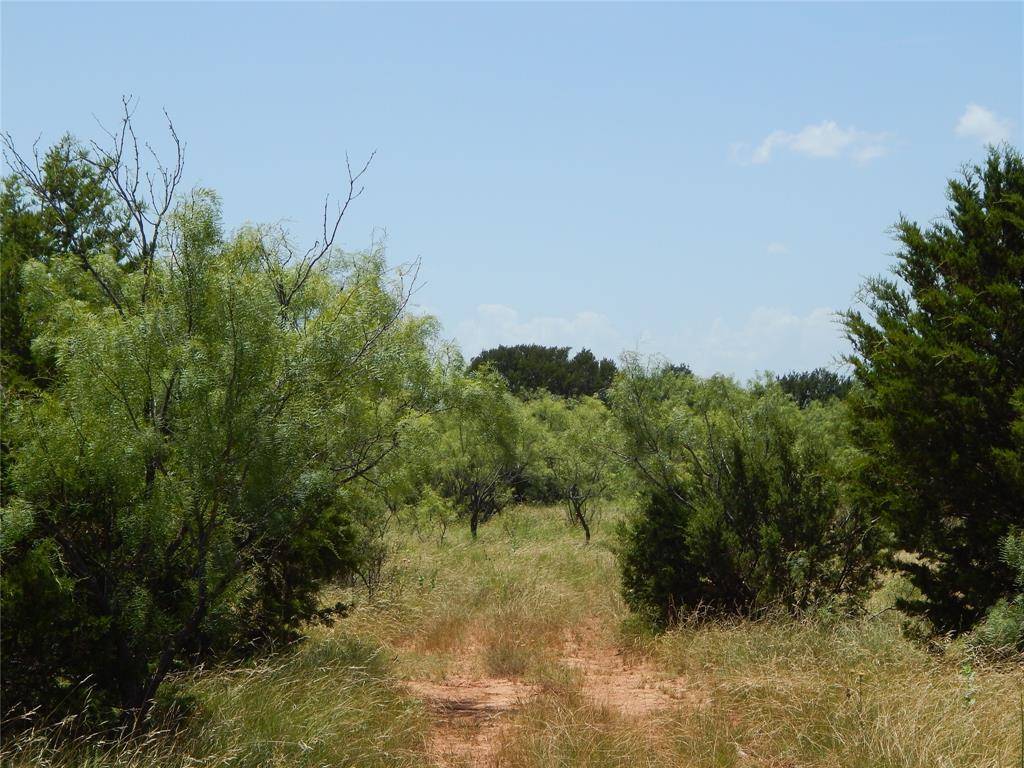 Bangs, TX 76823,12200 County Road 142