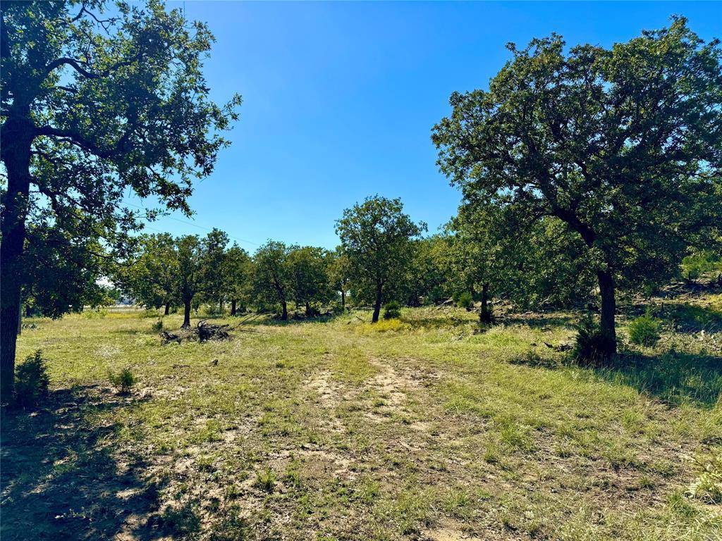 Mineral Wells, TX 76067,Lot 6 Hwy 281 N