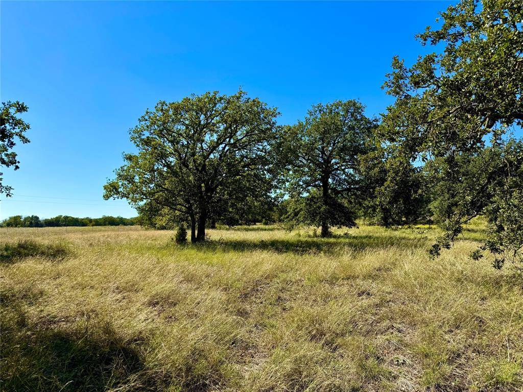 Mineral Wells, TX 76067,Lot 6 Hwy 281 N