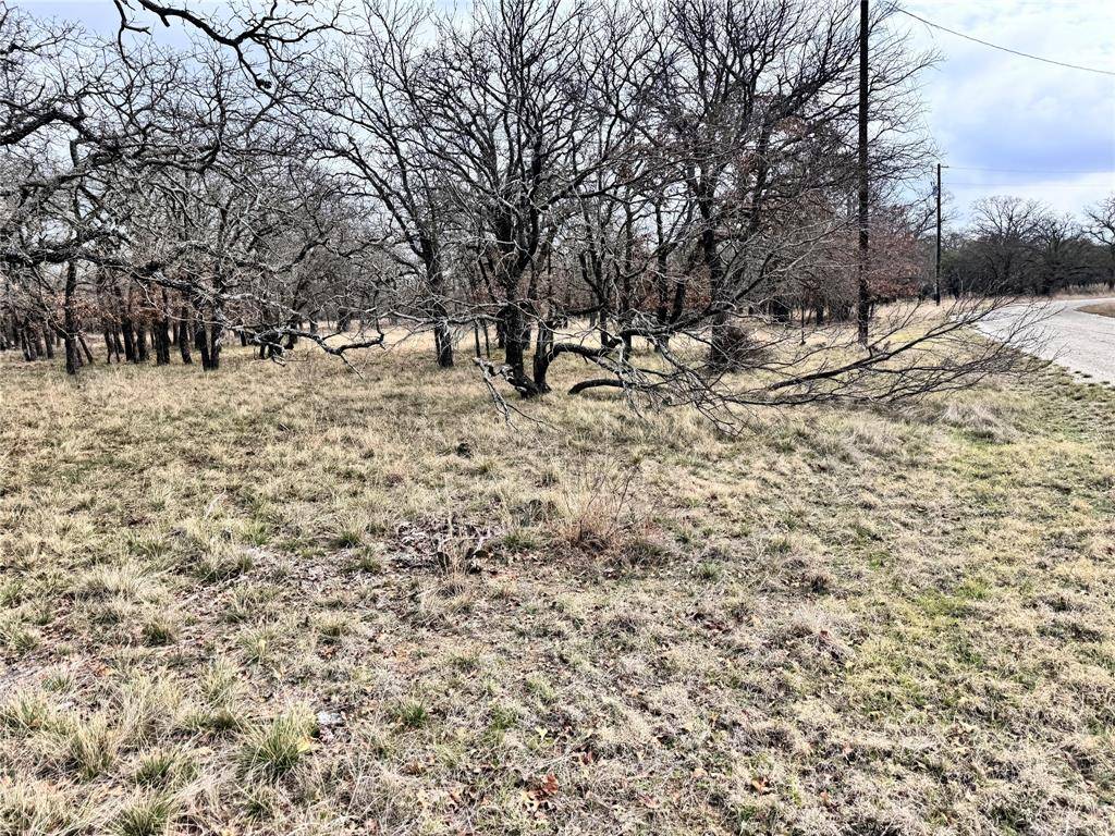 May, TX 76857,TBD Lot 14 Oak Bluff Circle