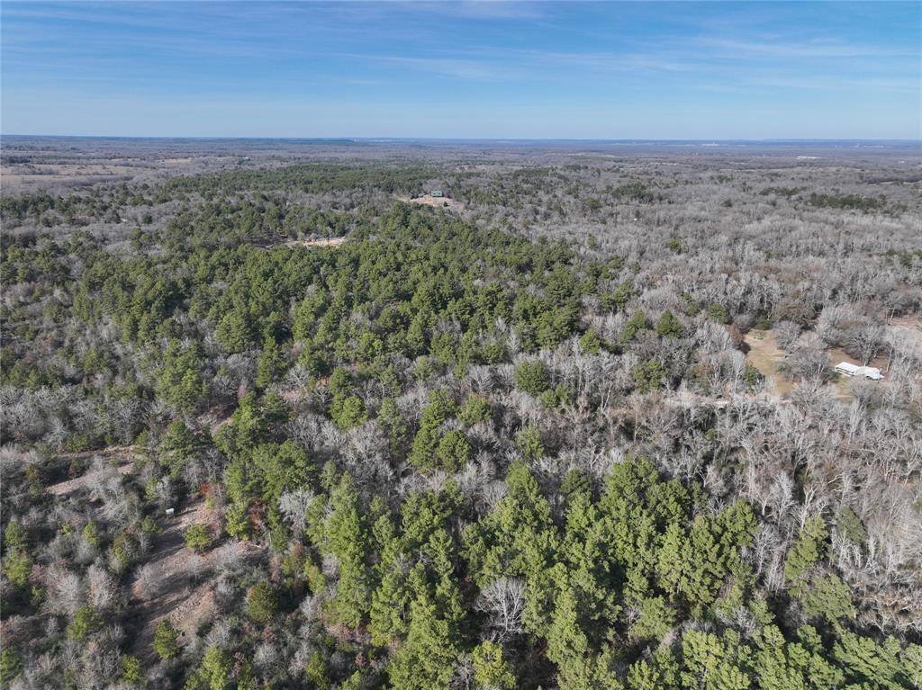 Oakwood, TX 75855,00 Pr 319