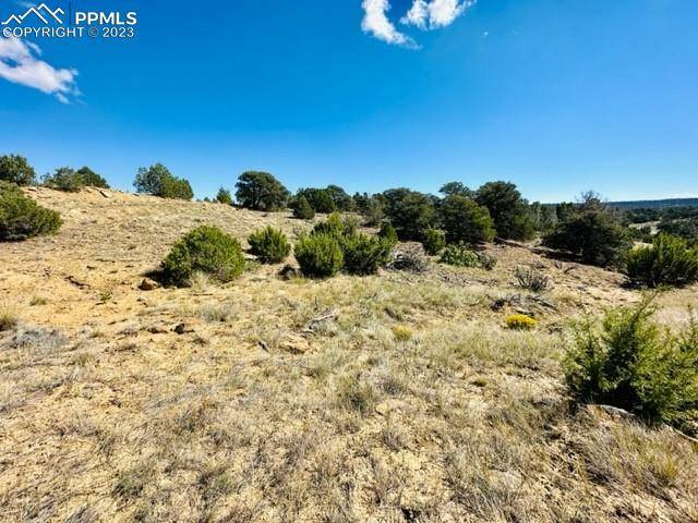 Walsenburg, CO 81089,LOT #771 Rio Colorado PL