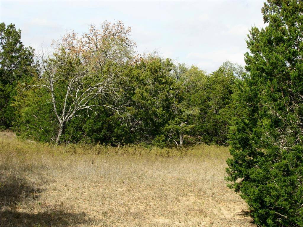 Evant, TX 76525,Lot 140 Phase 6 PR 42101