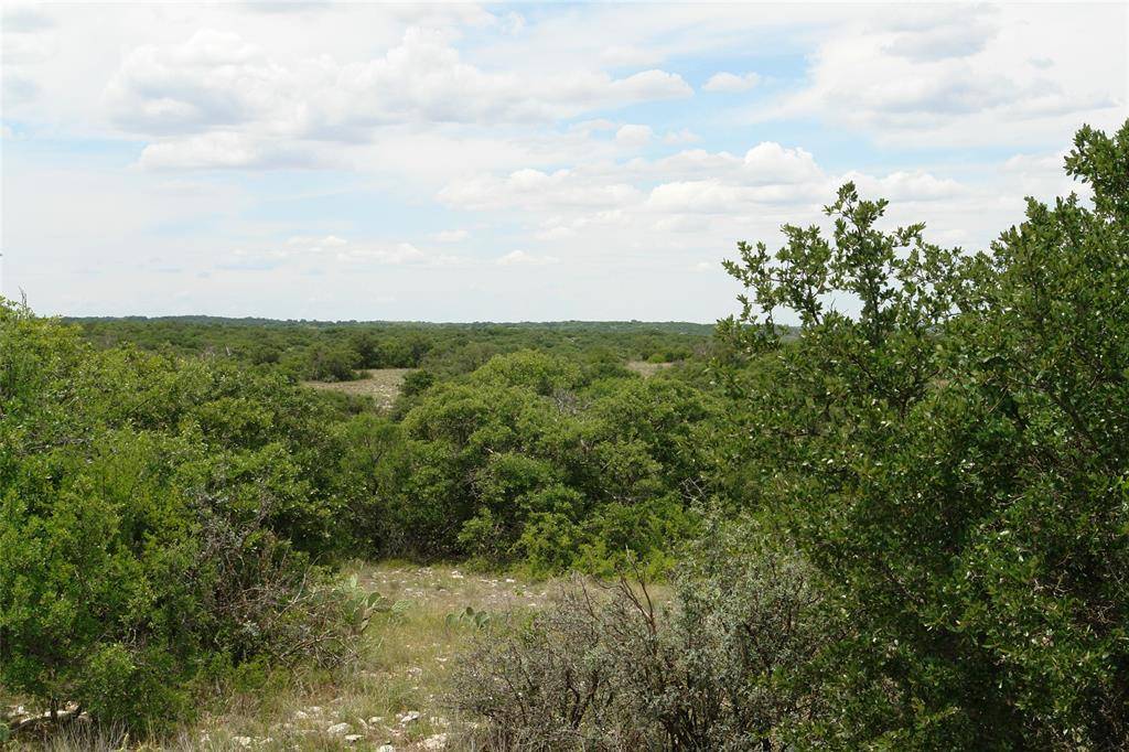 Eden, TX 76837,TBD CR 4131