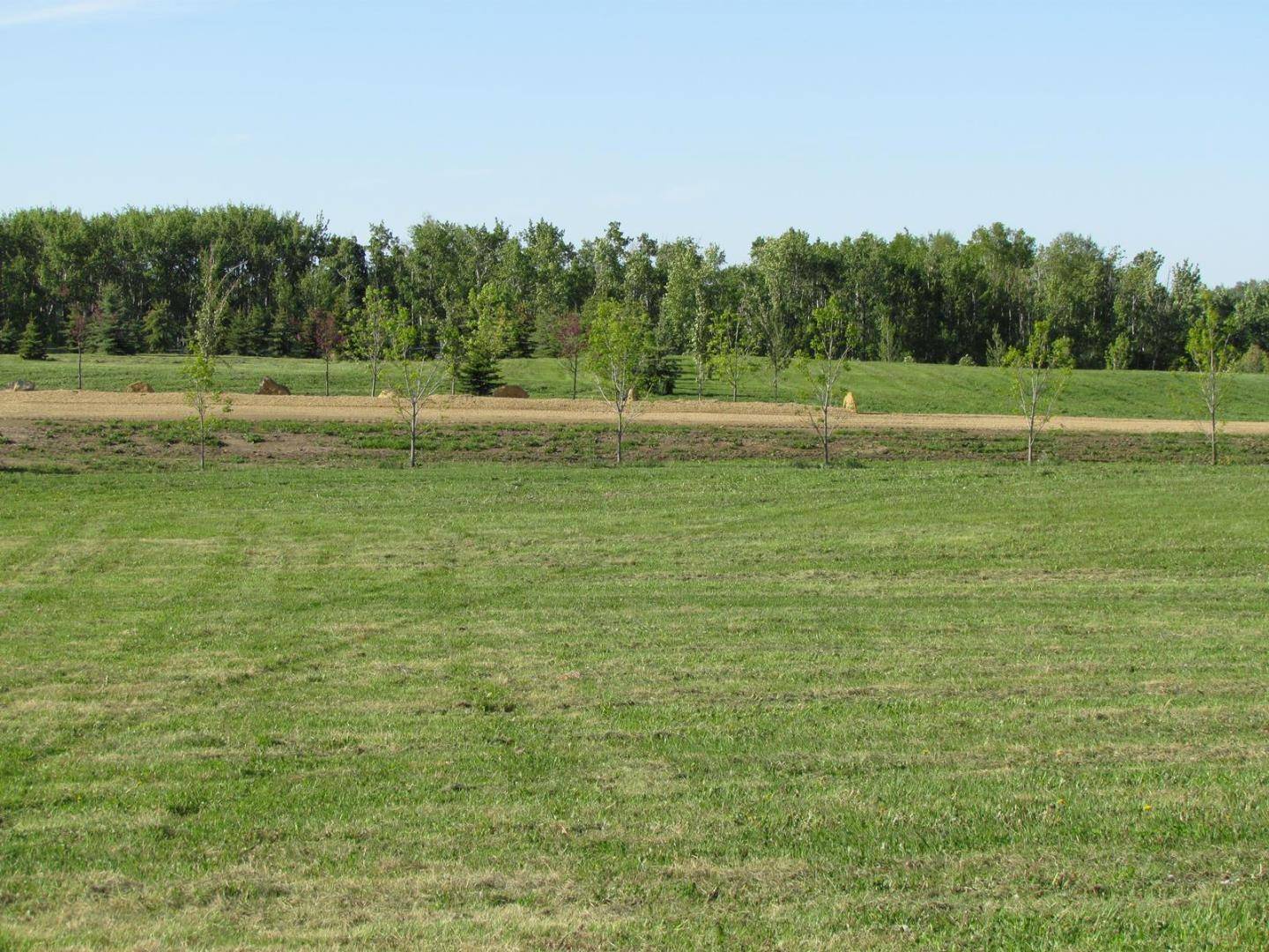 Rimbey, AB T0C 2J0,420054 Range Road #Lot 3