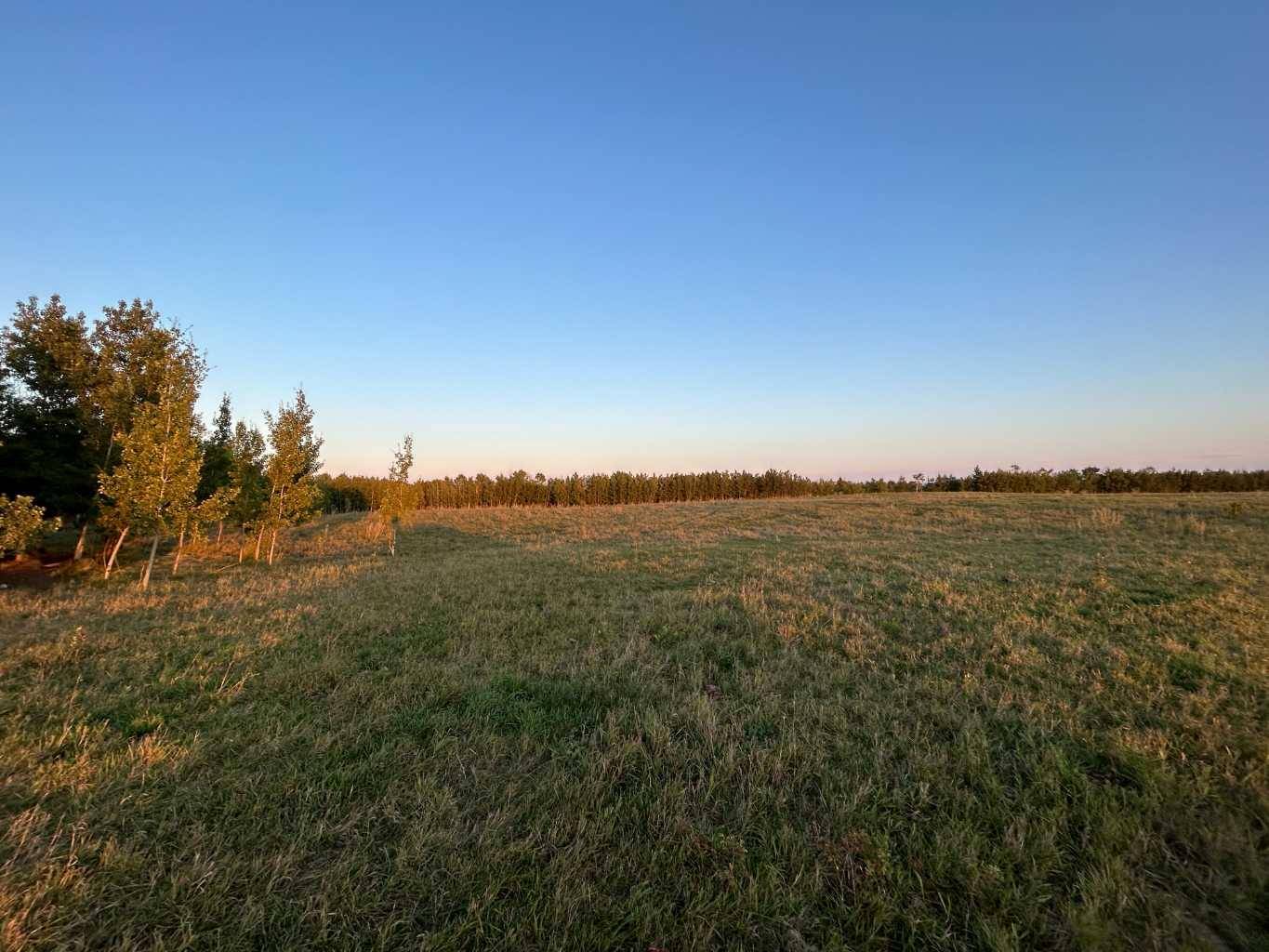 Rural Lacombe County, AB T0C 2N0,Range Road 234