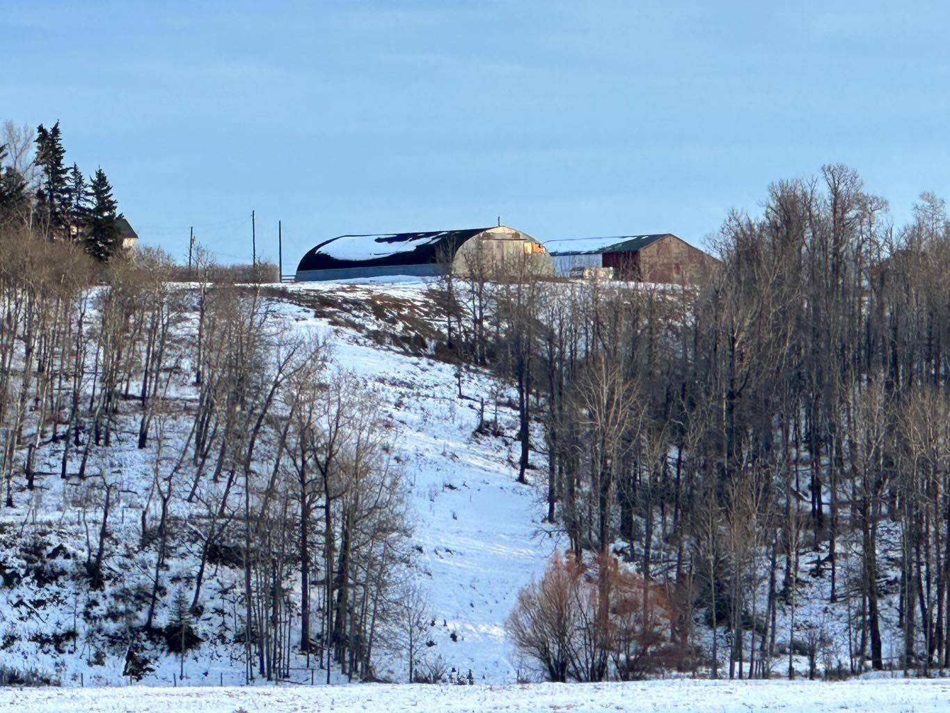 Rural Mountain View County, AB T0M 0W0,29554 Range Road 33