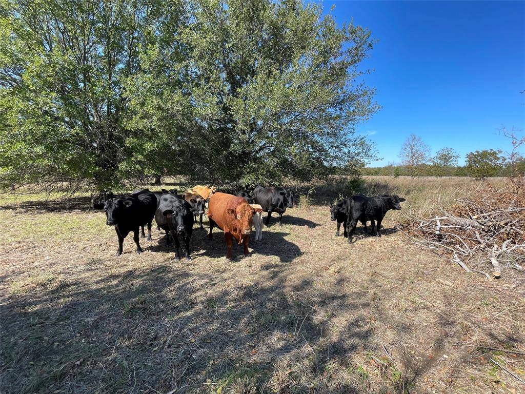 Canton, TX 75103,TBD TBD VZ CR 2135