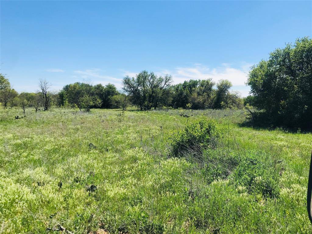 Cross Plains, TX 76443,22910 Fm 206