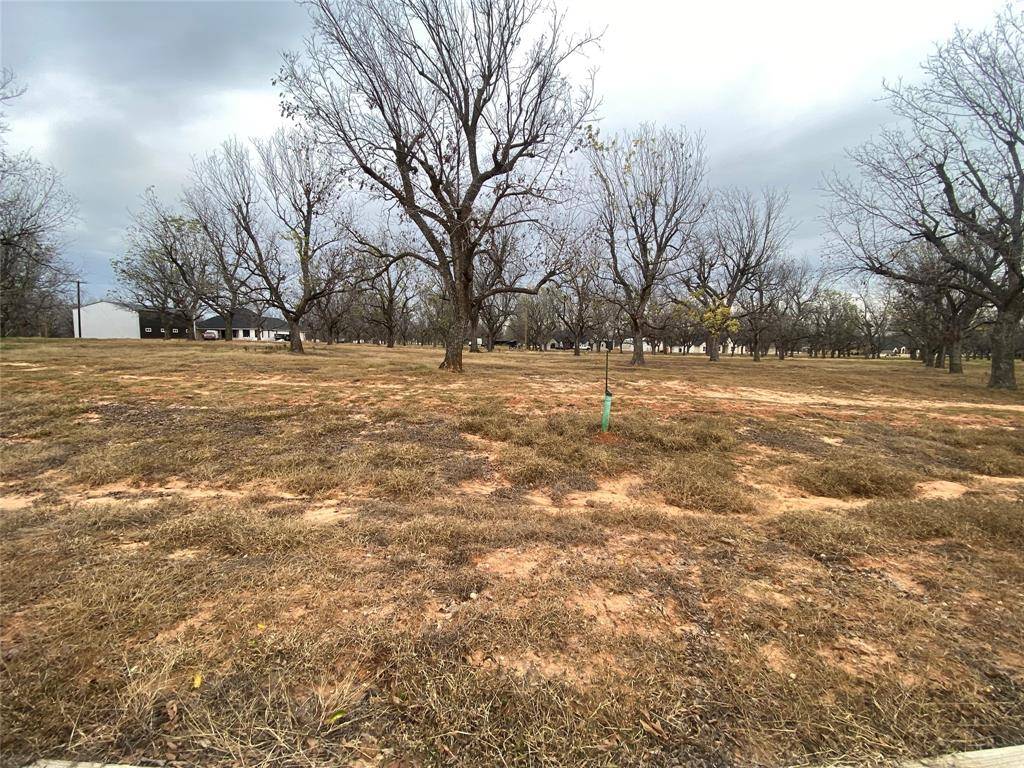 Granbury, TX 76049,6032 Bonanza Drive