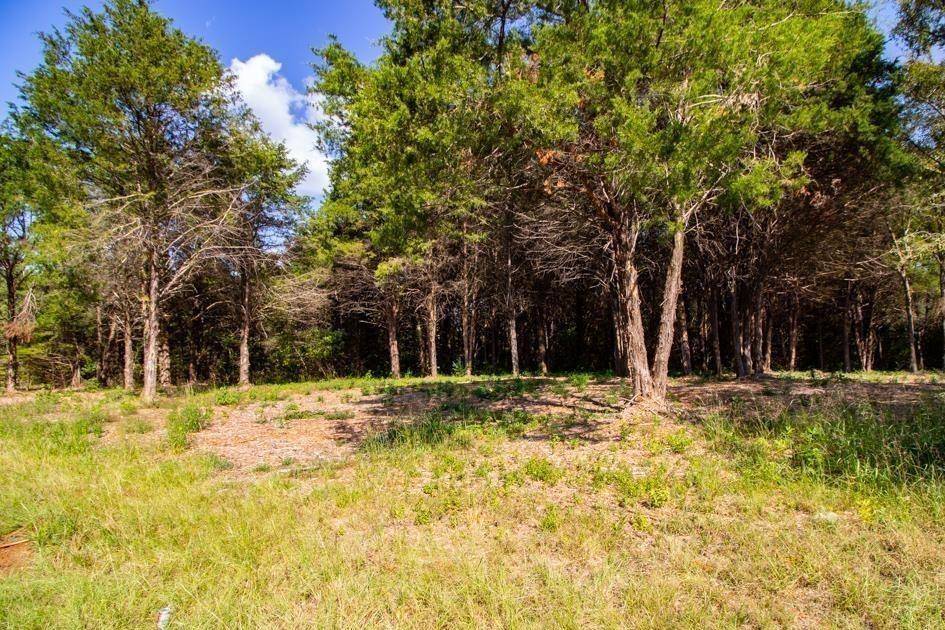 Tyler, TX 75704,TBD Lot 3 County Road 4173