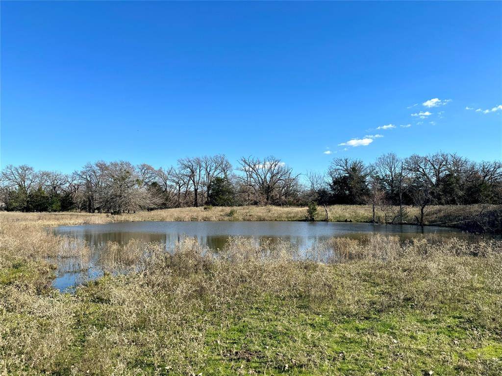 Terrell, TX 75160,LOT 1 Co Road 316B