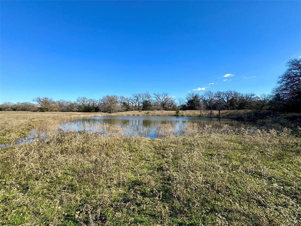 Terrell, TX 75160,LOT 1 Co Road 316B